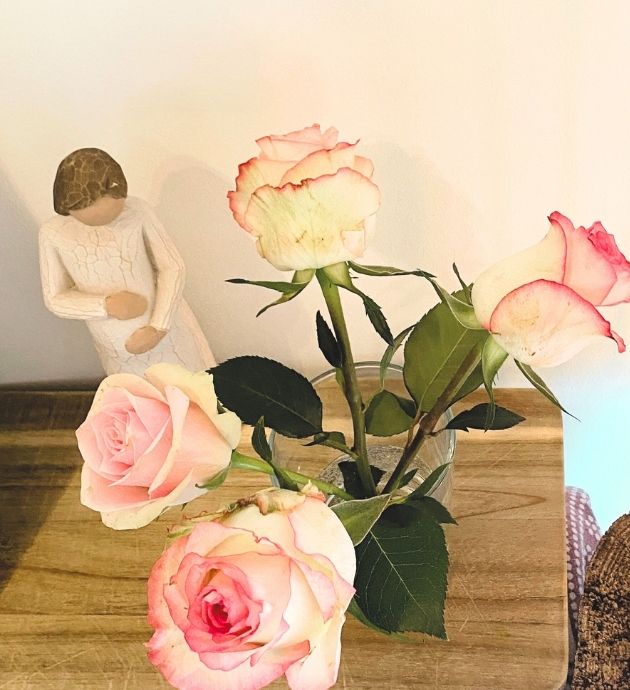 schwangeren circle online